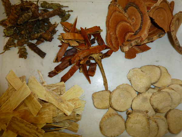 Chinese Herbal Medicine
